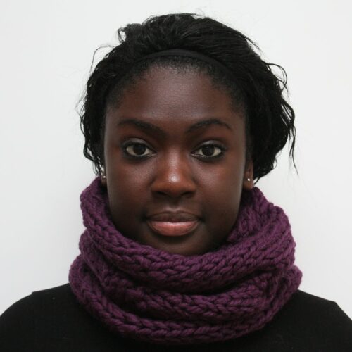 Wildberry Wool Cowl