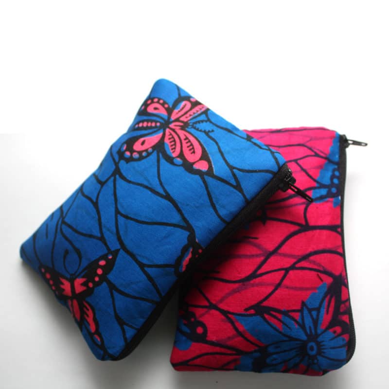 Blue and Pink Butterfly Zipper